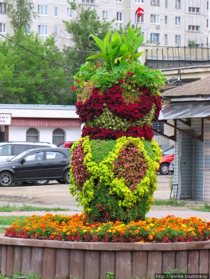 Maxflora. Цветы в раменском. Цветы в раменском. Цветы в раменском. Бюджетный букет из цветов.