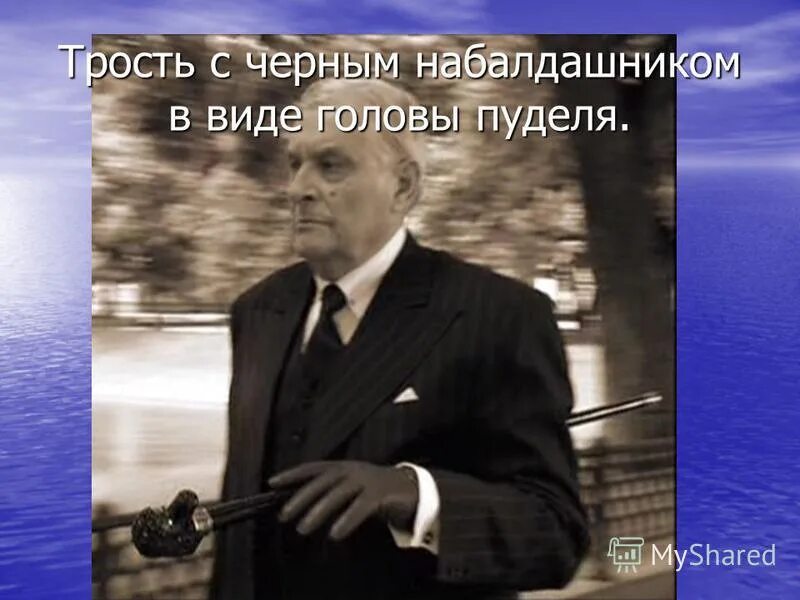 Трость с черным набалдашником в виде головы пуделя. Трость Воланда. Трость с головой пуделя у Воланда. Набалдашник трости Воланда. Трость с пуделем