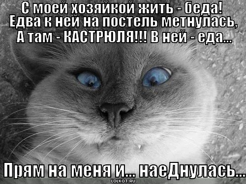 Я закрываю свое небо на замок. Плевать в потолок. Я стану хозяйкой этой жизни 144