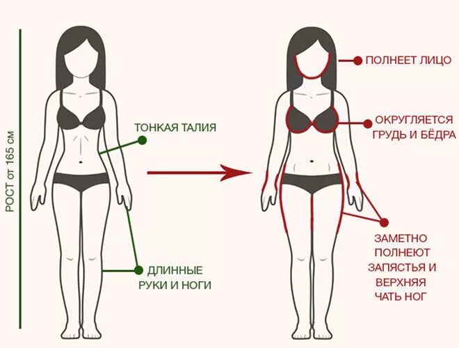 Почему стали мягче груди. Талия (часть тела). Грудь талия бедра. Грудь талия бедра идеал. Верхняя часть тела талия.