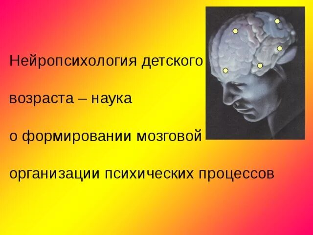 Нейропсихология детского возраста. Наука о формирования мозговой организации психических процессов. Нейропсихология детского возраста — это наука о формировании:. Нейропсихология детского возраста начала формироваться. Наука о старости удаление молочной