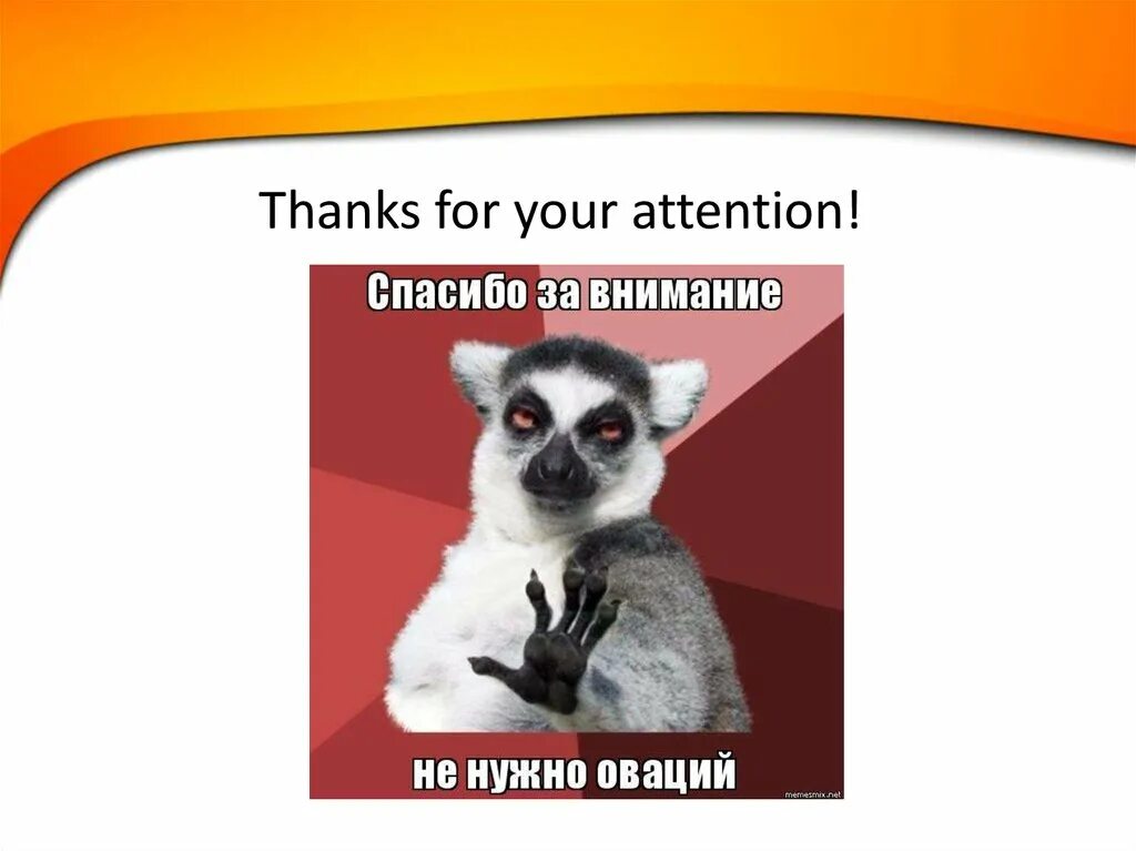 Спасибо за внимание не надо оваций. Спасибо за внимание с лемуром. Спасибо за внимание лимур. Не надо оваций. Нет спасибо на английском