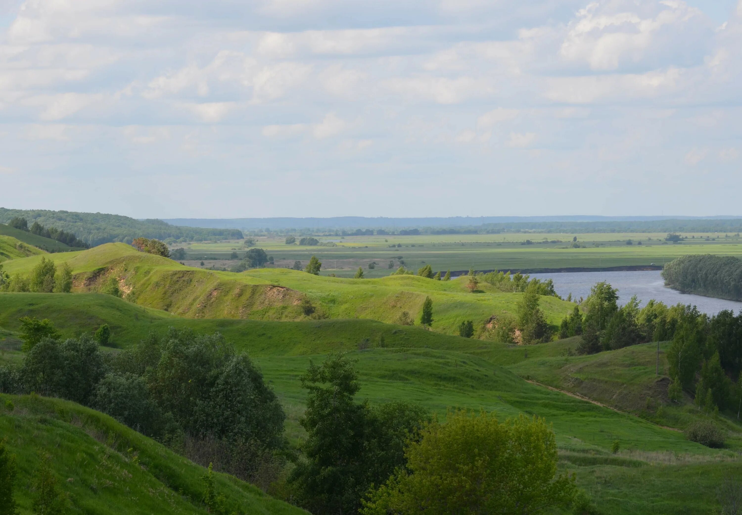 Минский край. Формы земной поверхности Рязанской области. Формы земной поверхности Калужской области. Формы земной поверхности Курской области. Равнины Чувашии.