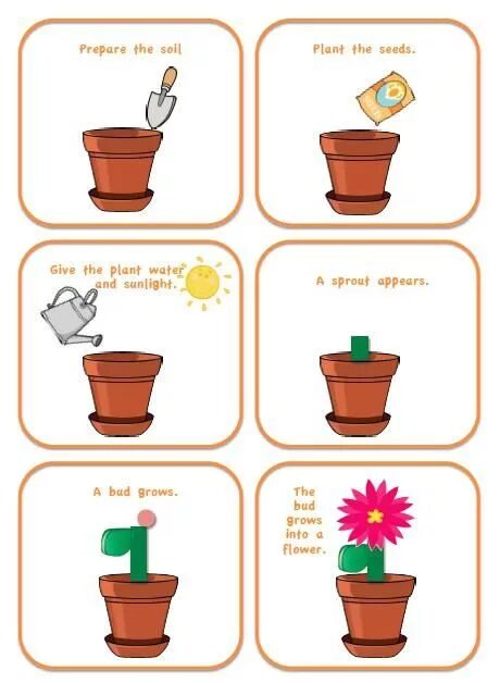 How plant