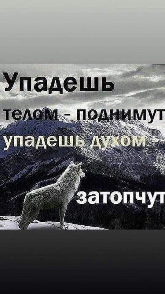 Упадешь духом затопчут телом поднимут. Упадешь поднимут пропадешь найду. Упадёшь телом поднимут упадёшь духом. Человек пал духом. Никогда не падай духом упадешь телом поднимут упадешь духом затопчут.