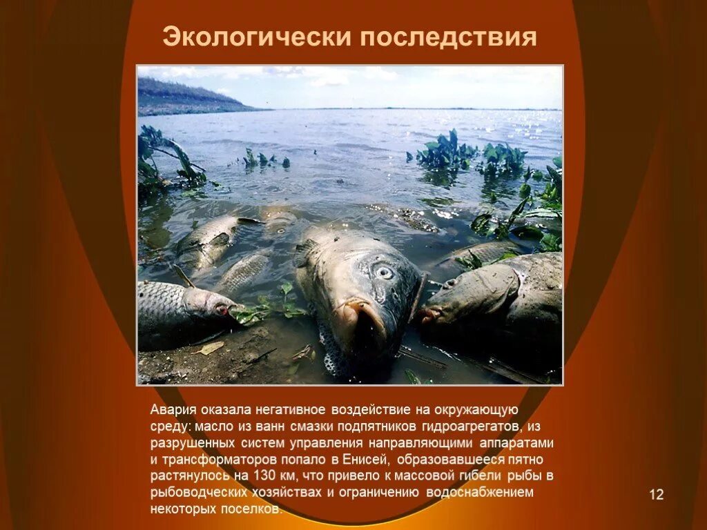 Влияние гэс на окружающую среду. Экологические последствия гэс. негативное влияние гэс на окружающую среду. негативное воздействие гидроэлектростанций на окружающую среду. геоэлектростанции воздействие на окружающую среду.