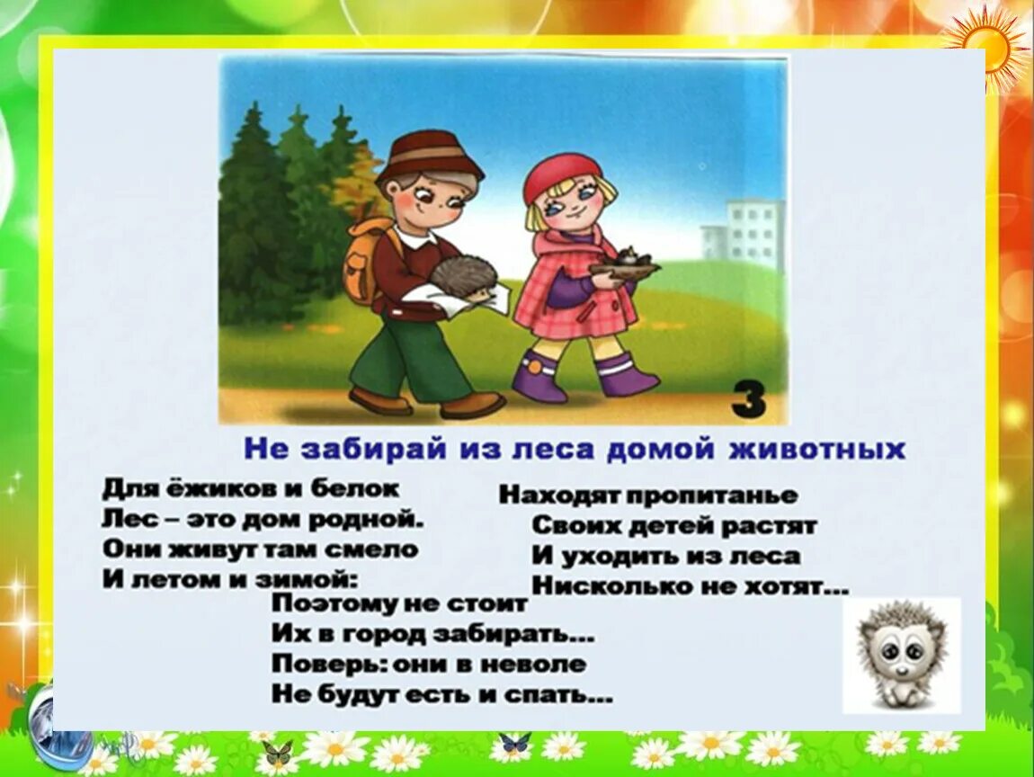 Рассказ как вести себя в лесу. Правила поведения в лесу. Правила поведения в лесу для детей. Правила поведения в Дему. Памятка поведения в лесу.