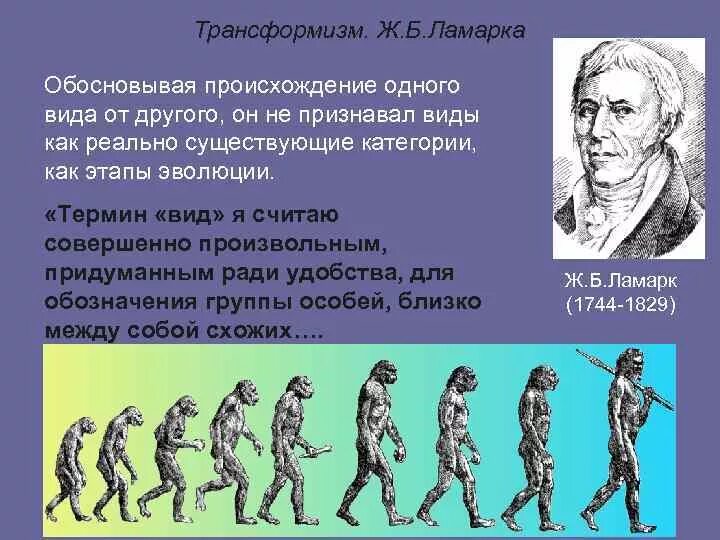 Трансформизм теория эволюции. Происхождение человека по Ламарку. Ламарк происхождение человека. Возникновение новых видов Ламарк. Начальный период развития человека