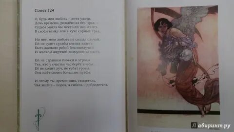 Сонет 13