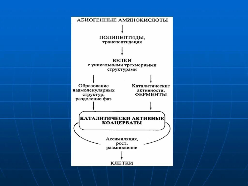 Один из авторов абиогенного происхождения жизни. Теория абиогенного происхождения жизни. Гипотеза абиогенного происхождения. Гипотеза абиогенного зарождения жизни. Схема абиогенной теории.