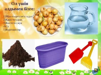 Кеуделері үлкен және кискасы бар ару