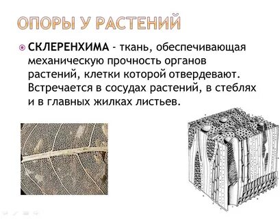 Какая ткань обеспечивает защиту