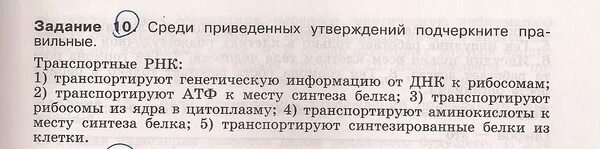 Среди приведенных. Среди приведённых утверждений подчеркните правильные в результате.