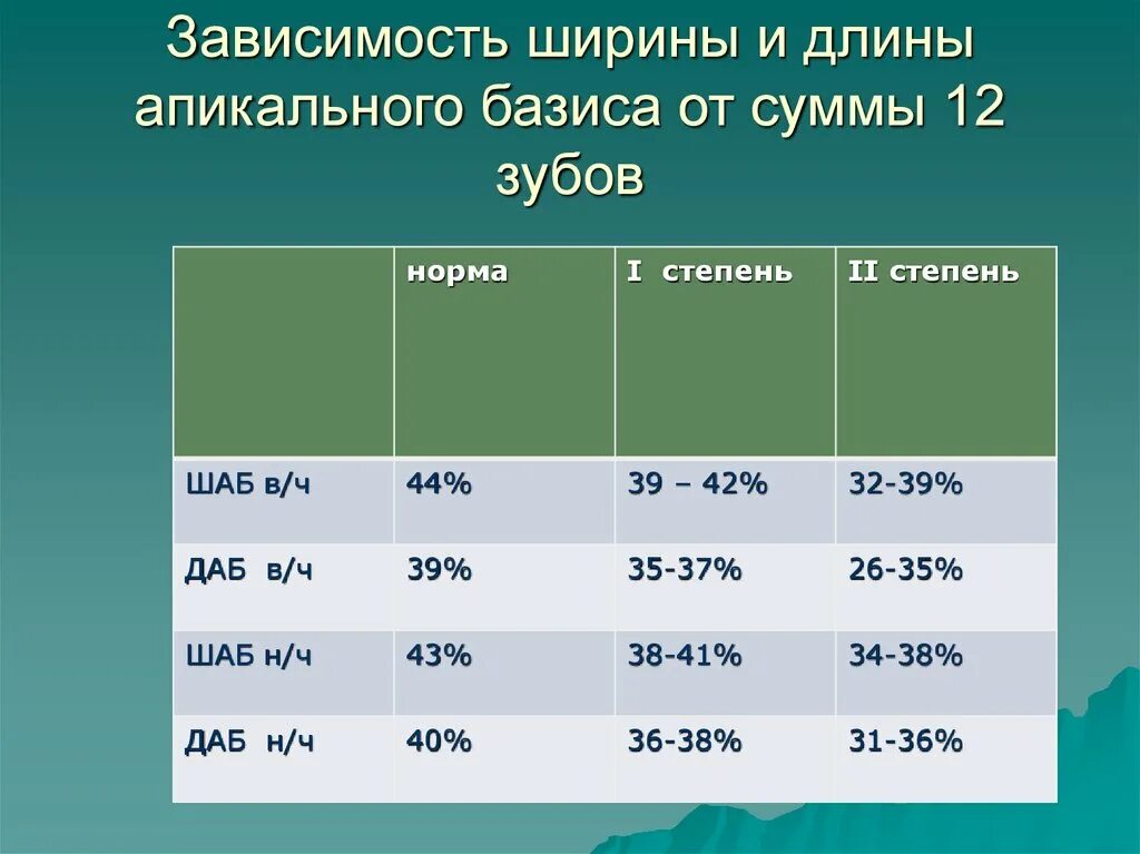 Длина базиса. Ширина апикального базиса. Измерение ширины апикального базиса. Длина апикального базиса. Соотношение ширины апикального базиса.