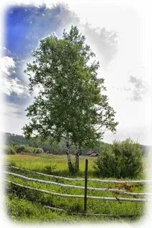 Околица свердловский