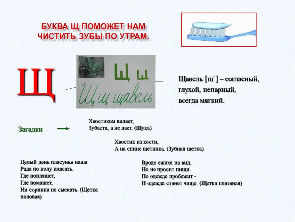 Описание буквы щ. Правило с буквой щ. Буква щ 1 класс. Проект буква щ. Звук щ буква щ презентация