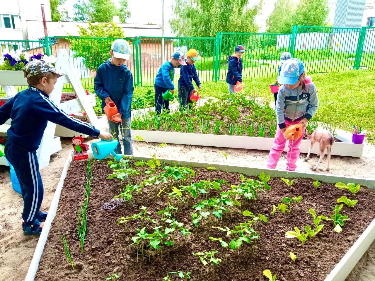 Посадили огород посмотрите что растет. Что садить с детьми в огороде в детском саду. Что посадить в огороде. Дети сажают огород в детском саду. Что посадить в огороде фото.