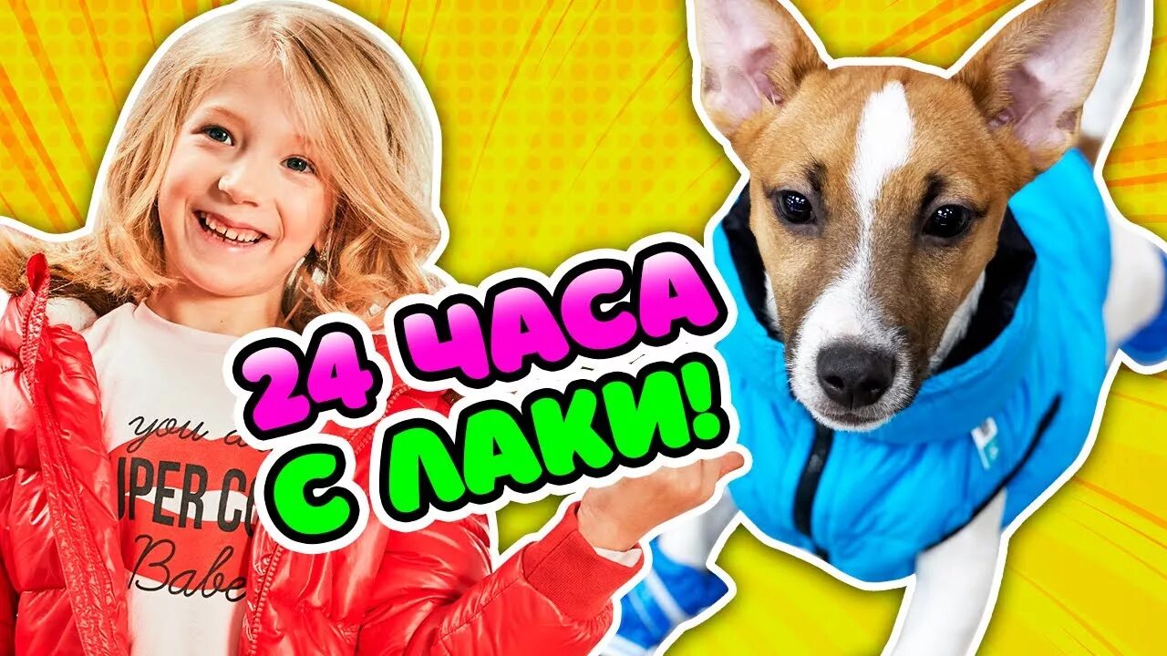 Алиса включи пса. Лаки собака миланы. Собака алиса в добрые руки. Алиса включи пса. Софи из мэджик петс.
