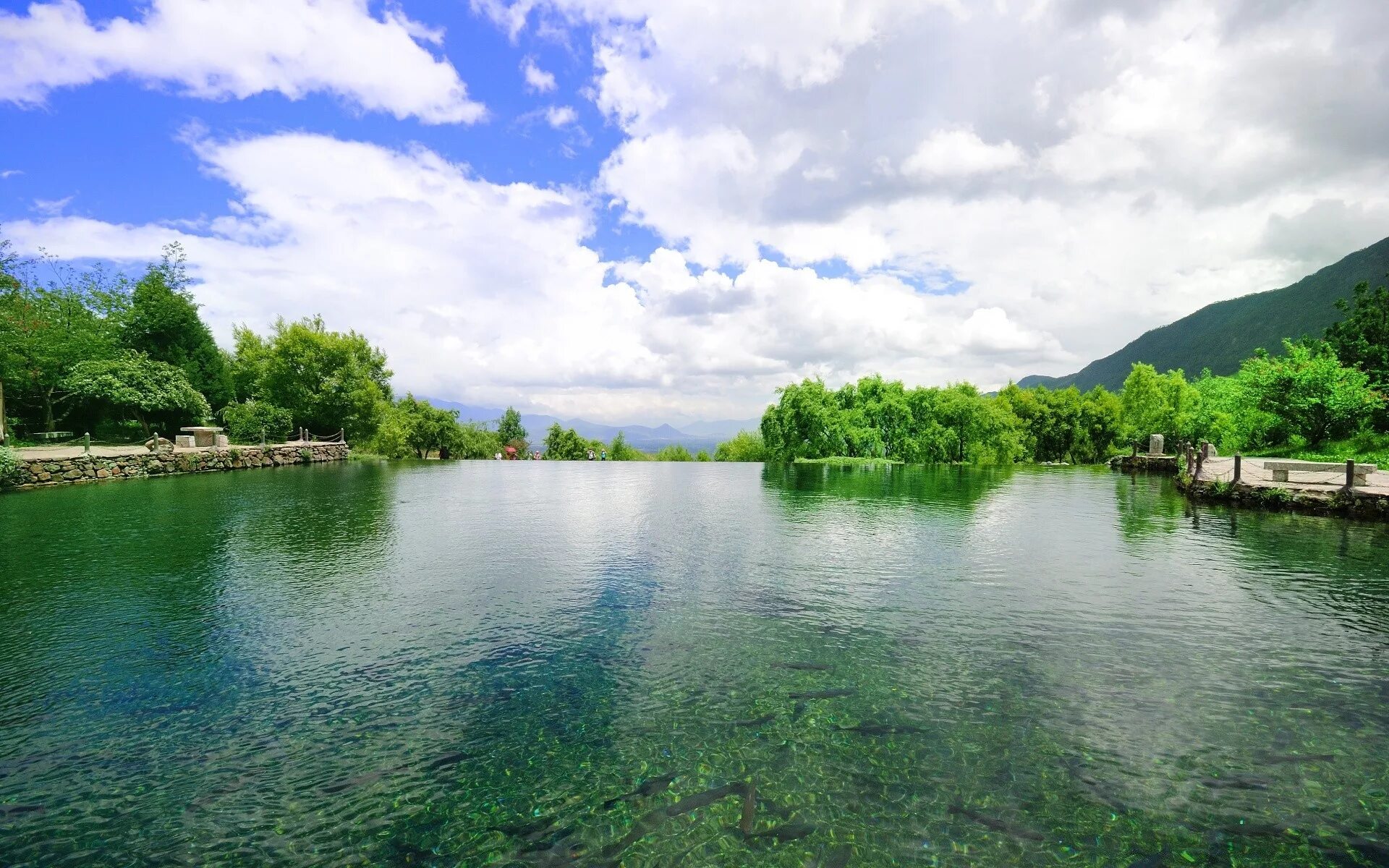 Вода озеро. Водный пейзаж. Водная гладь. Гладь озера.