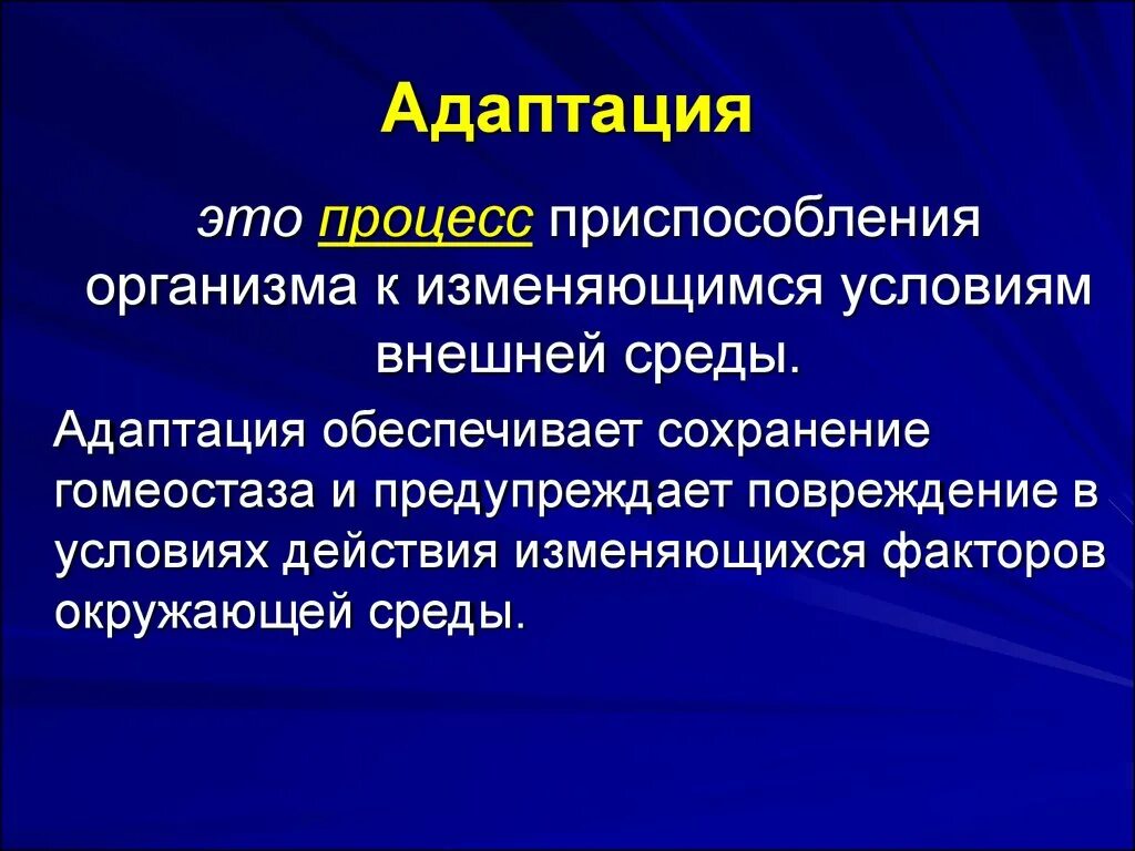 Адаптация. Адаптация организмов к внешней среде. Процесс адаптации. Адаптация это процесс приспособления.