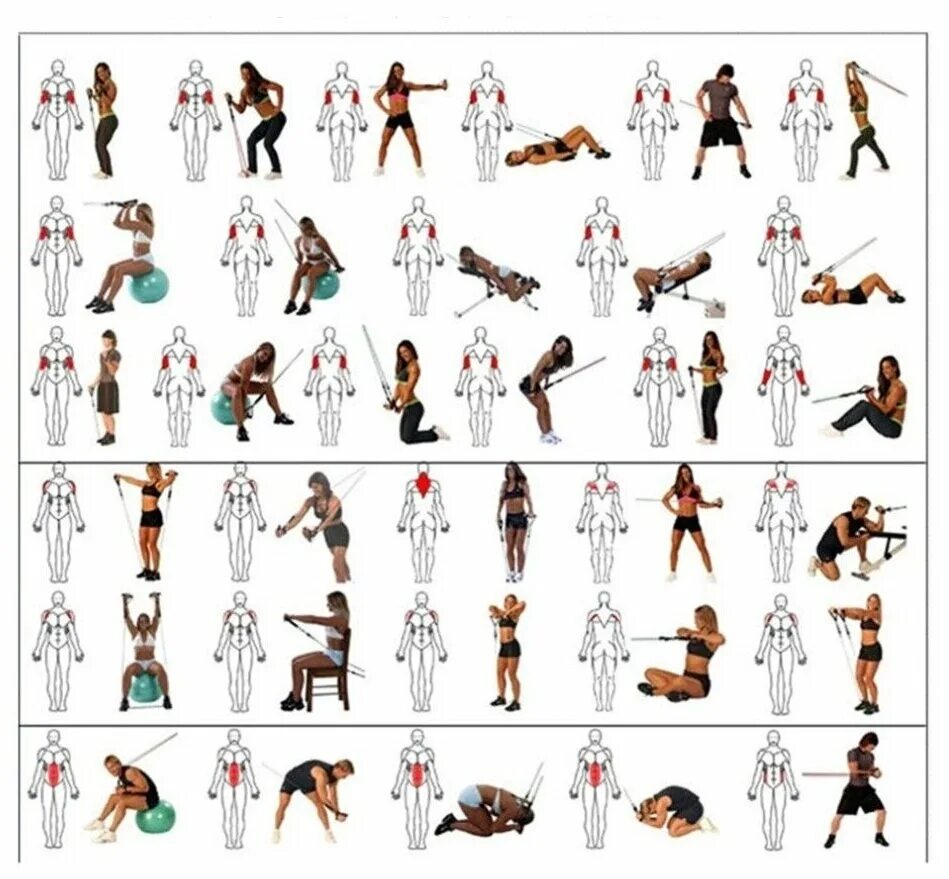 программа тренировок с резинками для мужчин. программа тренировок с резинками для мужчин. эспандер торнео универсальный упражнения. фитнес эспандер упражнения для женщин. занятия с резиновым эспандером для мужчин.