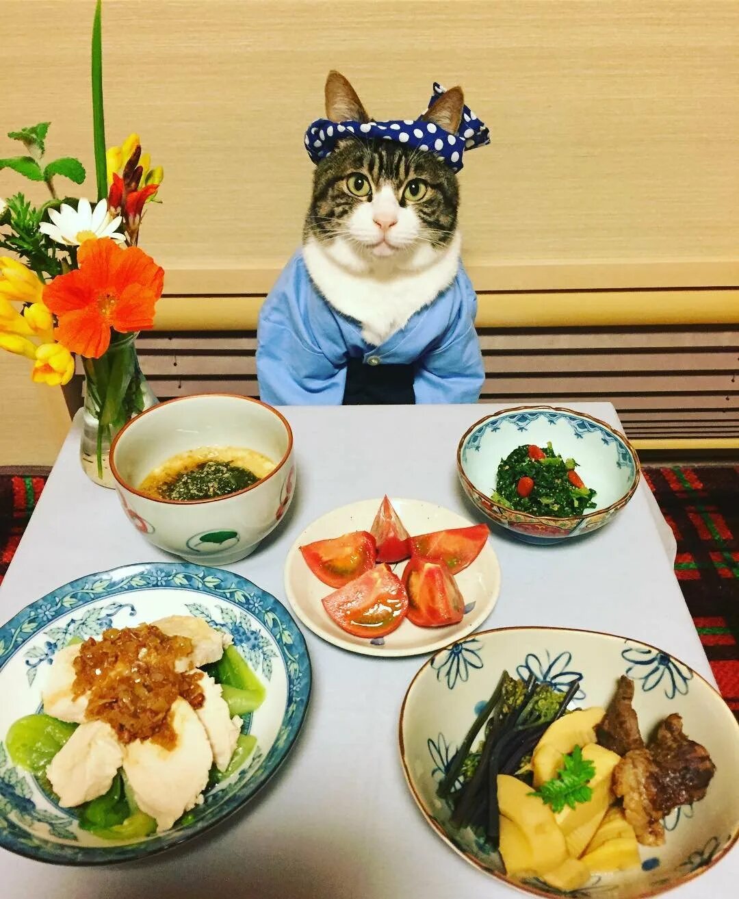 Хорошо пообедать. Коты и еда. Котик с едой. Котик за столом. Еда для кошек.