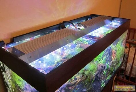 Сделать аквариумную