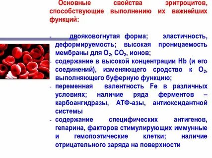 Атф эритроциты