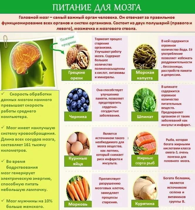 Витамины укрепляющие нервную систему