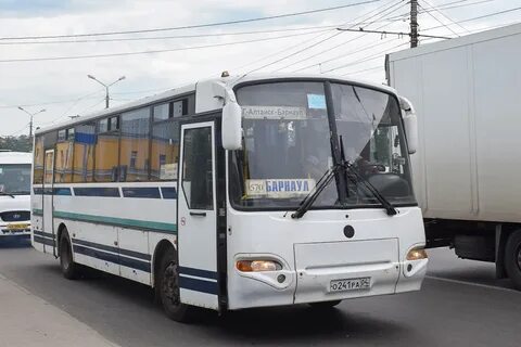 Автобус 272 спб