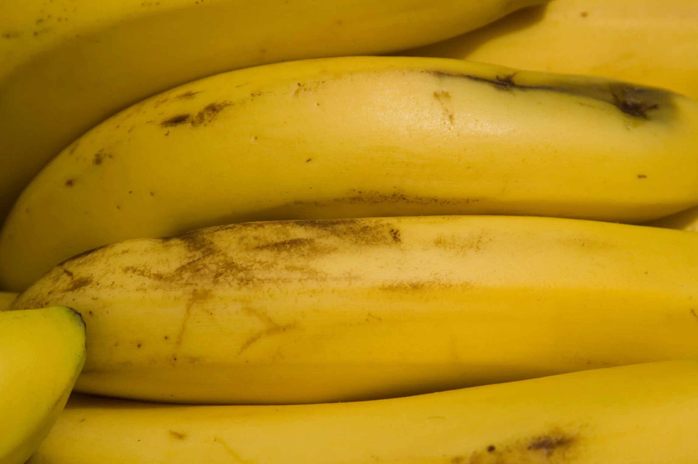 Бананы какой зрелости запрещено выставлять. Спелость бананов по цвету. Lemon Banana сорт. Степень зрелости бананов. Созревание бананов в природе.