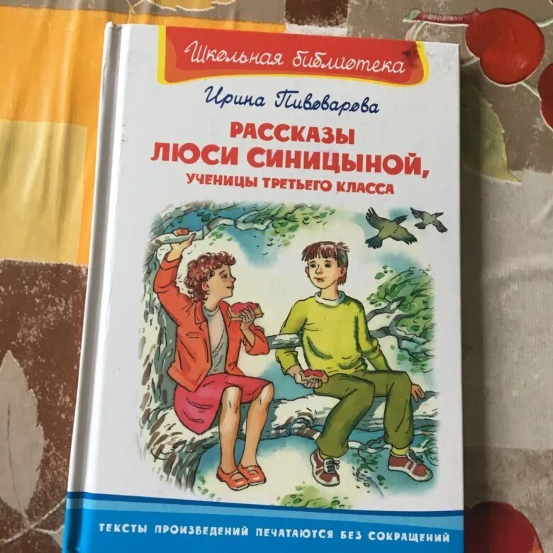 Приключения Люси Синицыной. Книжка рассказы Люси Синицыной. Приключения Люси Синицыной ученицы третьего класса. Картинки Люси Синицыной. Рассказ книга в моей жизни 4 класс