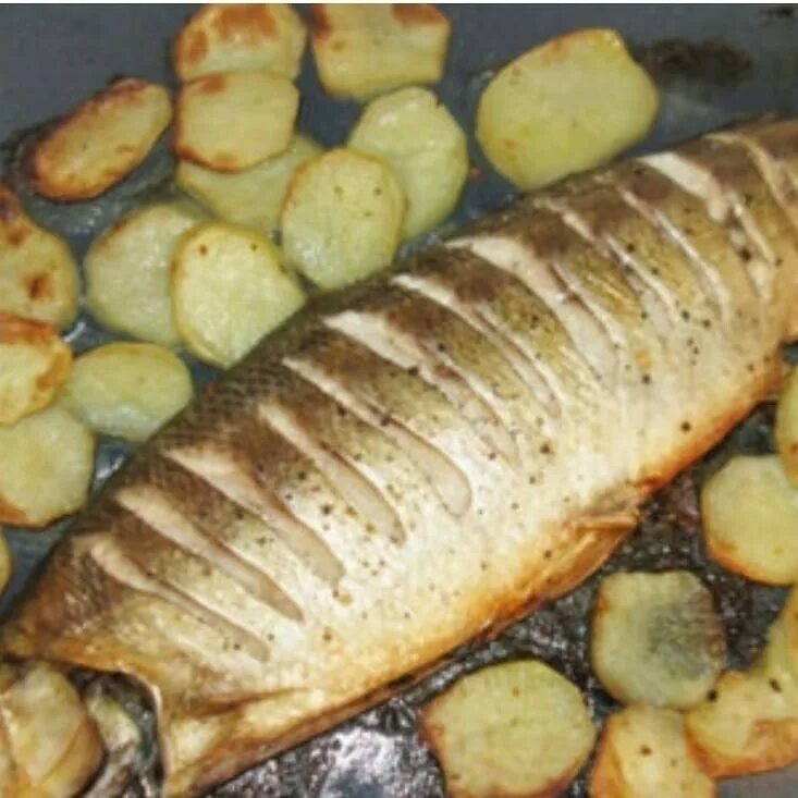 омуль запеченный в духовке. сибас запеченный в духовке. копчение на кухне. рыба сибас запеченная в духовке. как приготовить омуль в духовке.