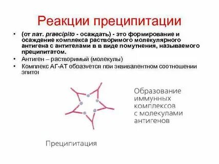 Преципитация иммунных комплексов