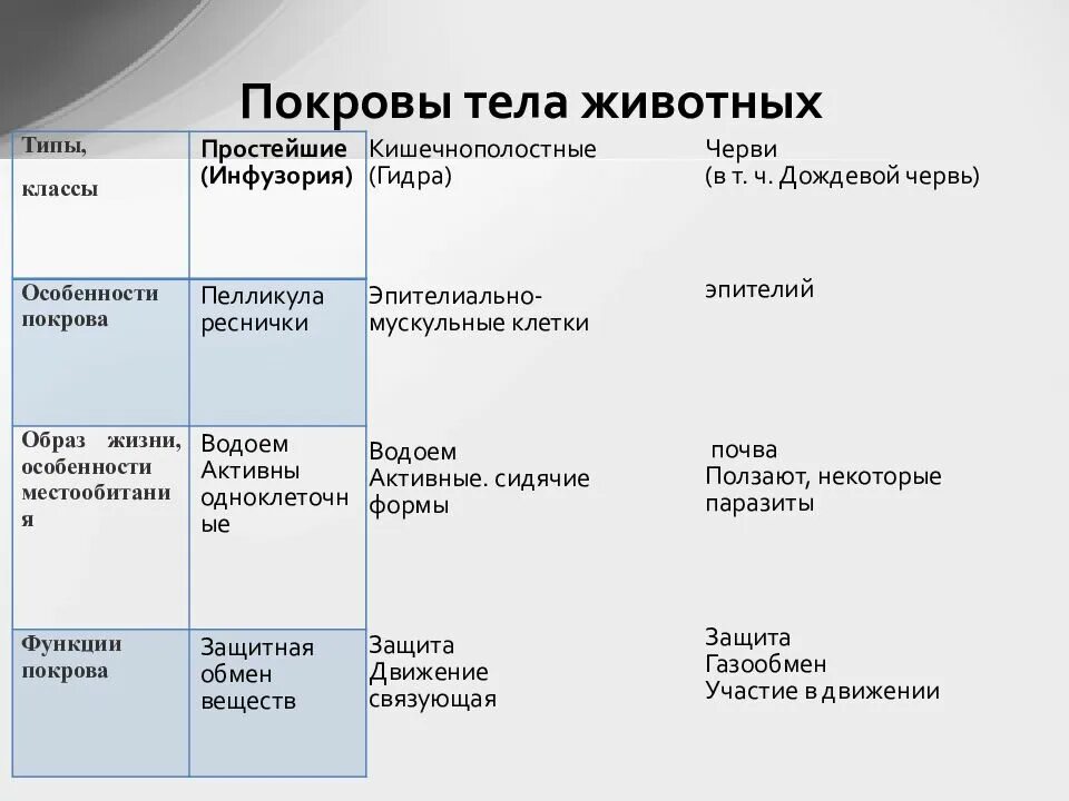 Покровы тела выполняют функции. Эволюция покровов тела. Покровы тела животных. Функции покровов тела животных. Эволюция покровов тела животных таблица.