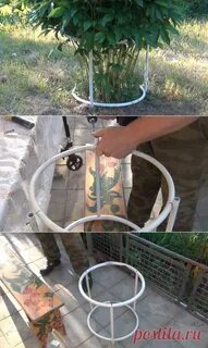 Когда нужно ставить подпорку для пионов