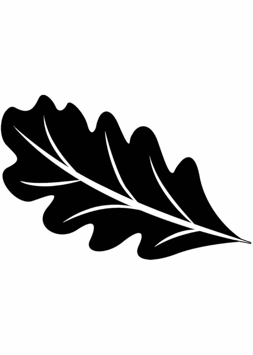 Дубовый трафарет. Лист дуба раскраска для детей. Дубовый лист трафарет для вырезания. Трафареты листьев дуба. Дубовый трафарет.