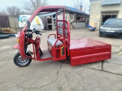 Муравей анапа