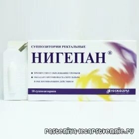 Нигепан инструкция по применению при геморрое