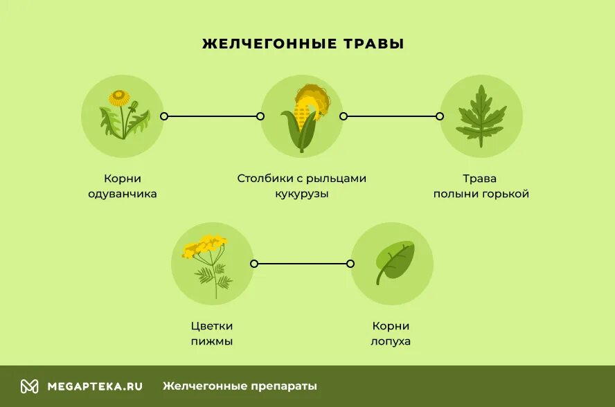 Желчегонные продукты при перегибе желчного пузыря. Желчегонные препараты схема. Желчегонные препараты на основе трав. Желчегонное средство при застое желчи. Желчегонное средство трава.