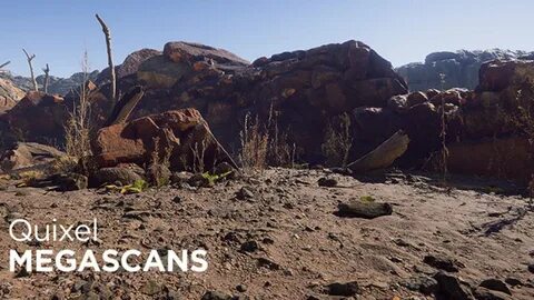 Quixel megascans