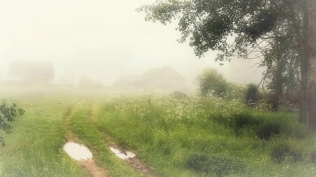 Текст утро после дождя было. Утро в деревне после дождя. Деревня после дождя. Пейзаж после дождя. Утро в поле после дождя.