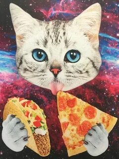 Pizza cats