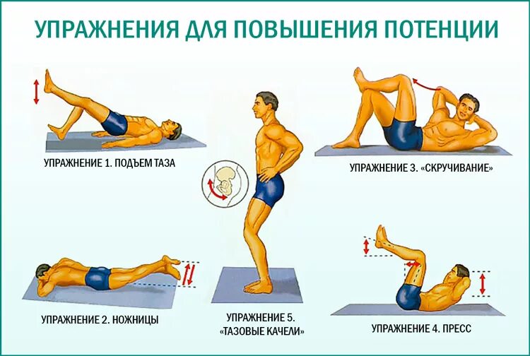 Упражнения для улучшения потенции у мужчин