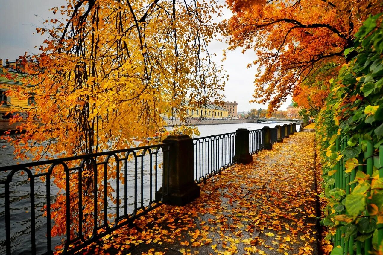 Осень в городе. Золотая осень в калининграде. Золотая осень город. Золотая осень город. Ванкувер стэнли парк осень.