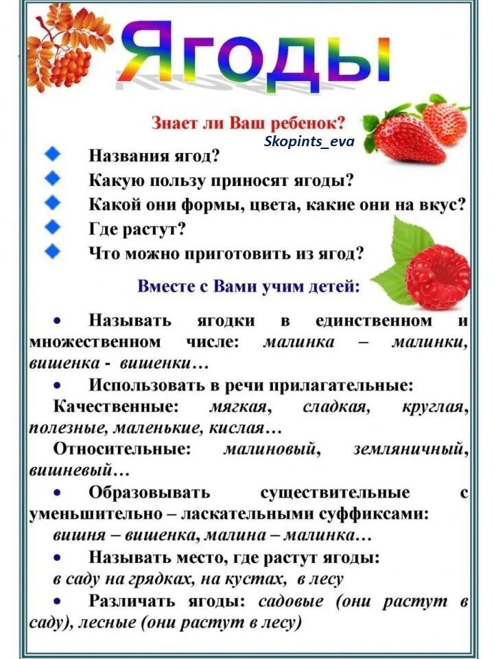 Лексическая тема. Лексическая тема грибы ягоды. Тематическая неделя грибы. Тематическая неделя грибы средняя. Тема недели грибы ягоды.