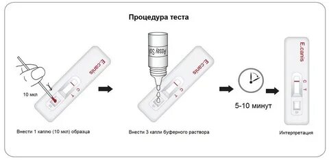 Точность экспресс тестов