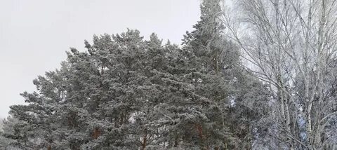 09 январь