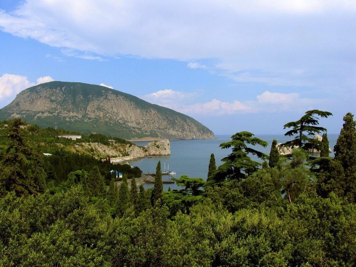 Гора над артеком 5 букв. Гора медведь в крыму. Артек медведь гора. Артек медведь гора. Гора в коктебеле медведь.