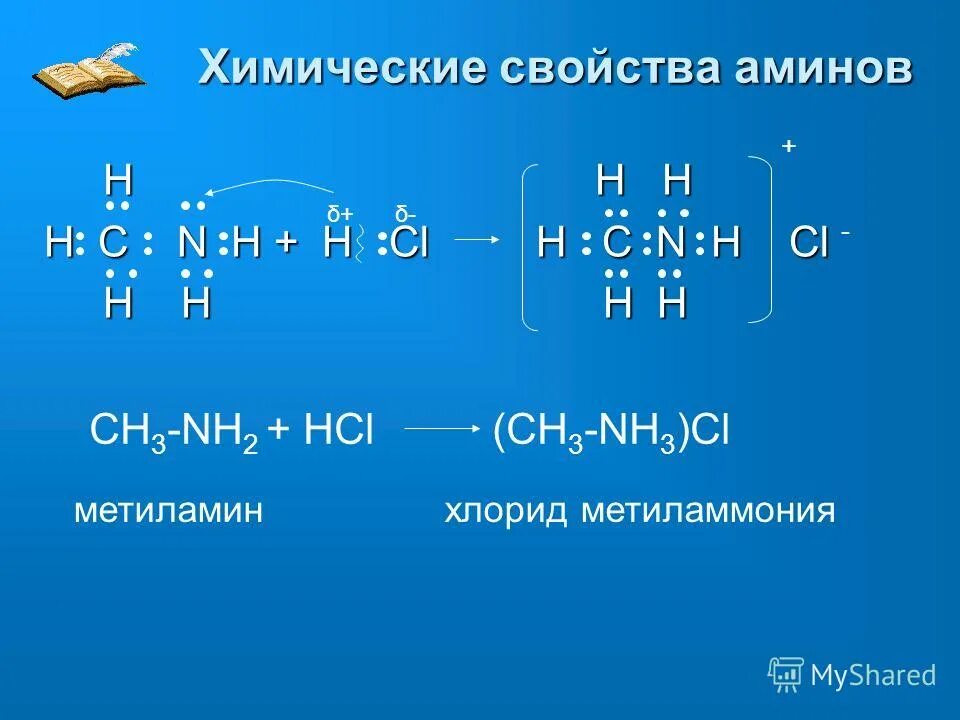 амины химические свойства реакции. амины презентация. амины презентация 10 класс. амины nh3. презентация амины 10 класс химия.